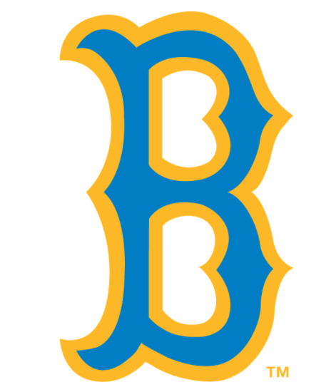 Boston Bruins Logo History